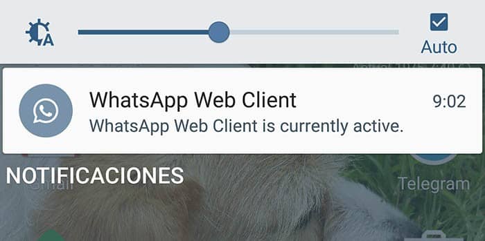 notificación de whatsapp web client