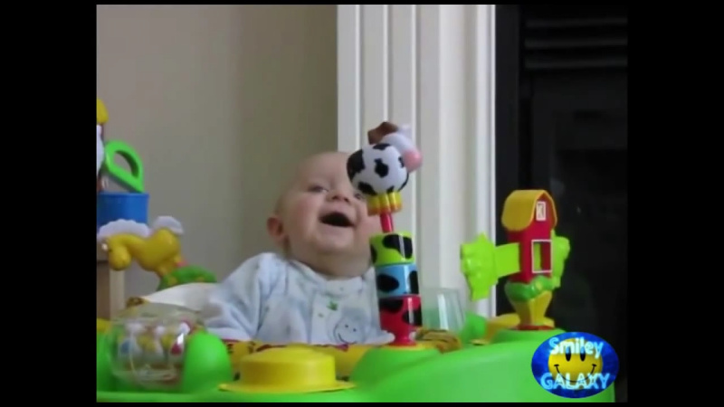 videos graciosos para Whatsapp4