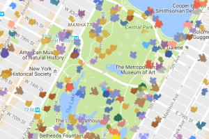 Descargar actualización PokeMesh