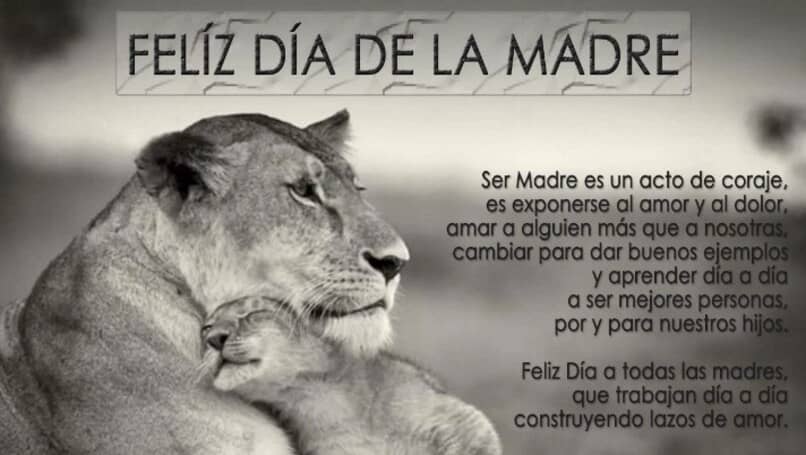 la mejor imagen para el dia de la madre