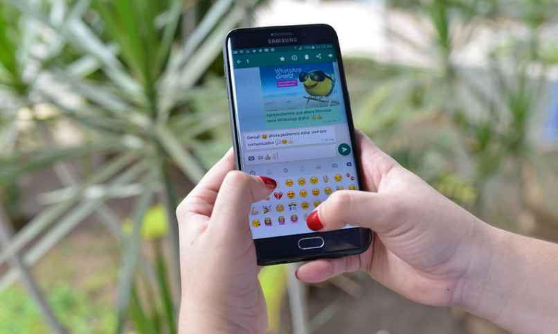 mensajeria instantanea whatsapp