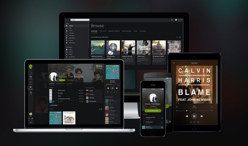 descargar spotify windows phone