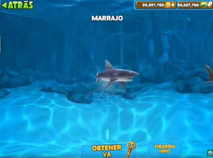 mar profundo color azul tiburon gris