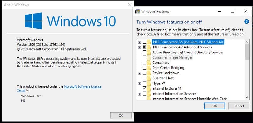 net framework en windows