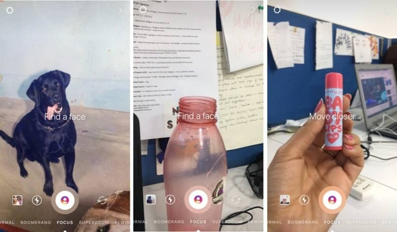 perro y objetos en camara de instagram stories