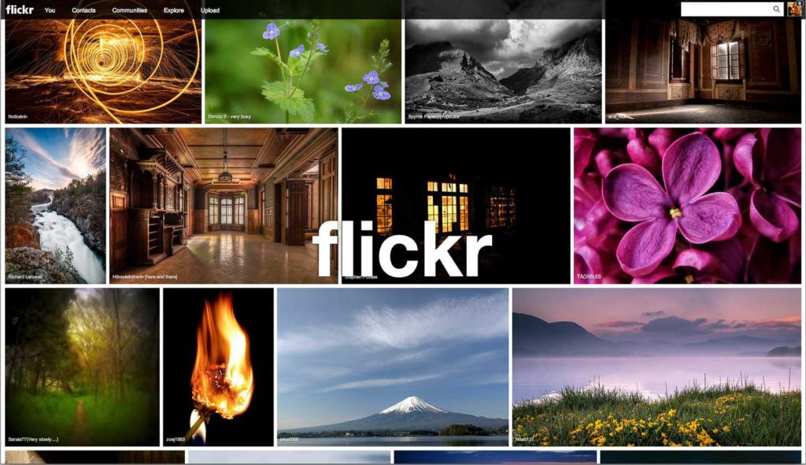 descargar fotos en flickr