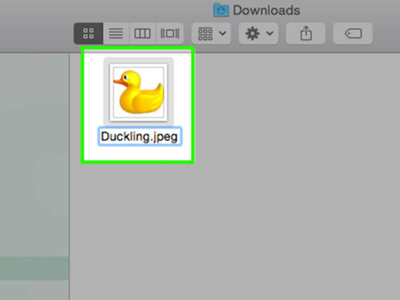 Copiar imágenes desde internet