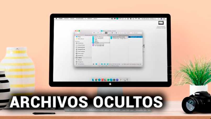 Archivos ocultos en mi ordenador