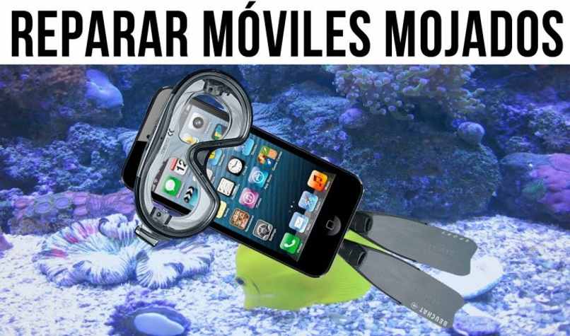 consejos faciles reparar movil mojado