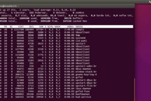 Cómo parar o iniciar y usar servicios en servidores GNU/Linux - Tutorial