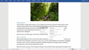 como quitar marca correcion office windows o mac
