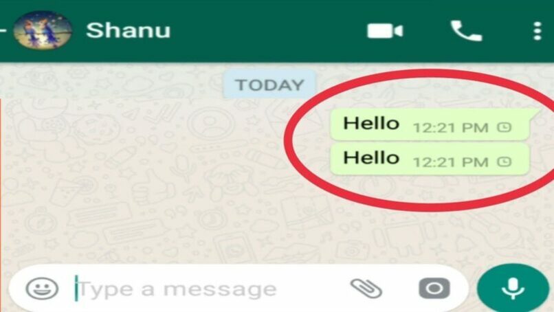 mensajes que no han sido enviados en chat de whatsapp