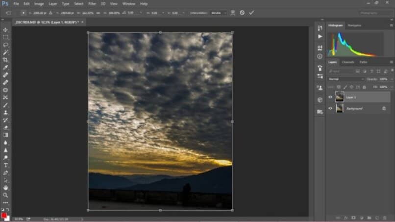 suave pluma contraste borde
