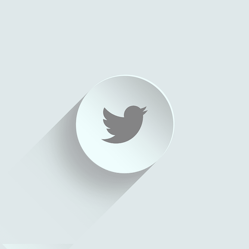 logo de twitter en blanco