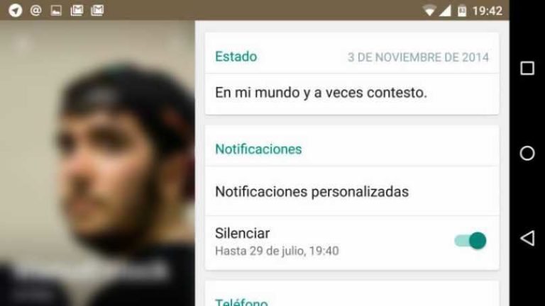 Borrar Mensajes De Whatsapp Sin Que Se Den Cuenta