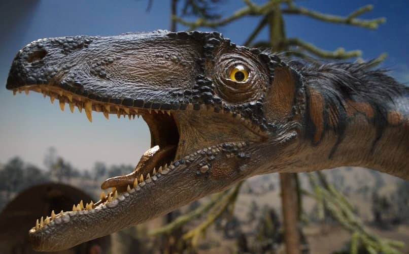 patio de recreo enlace Sollozos Los mejores videos infantiles de dinosaurios para niños en español -  Aprende jugando | Mira Cómo Hacerlo