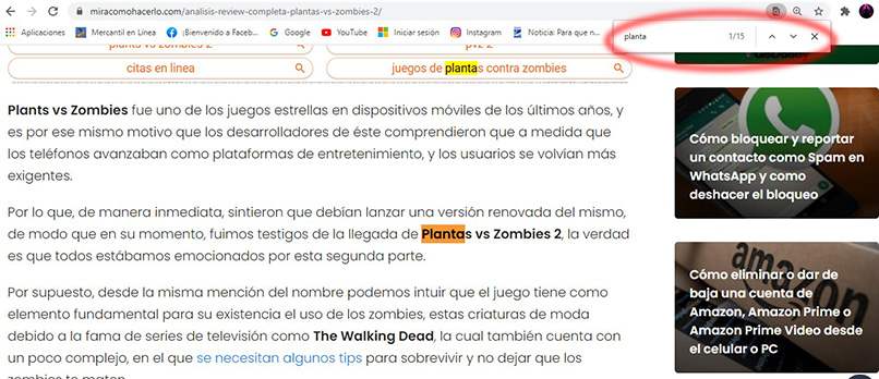 usar caja de busqueda