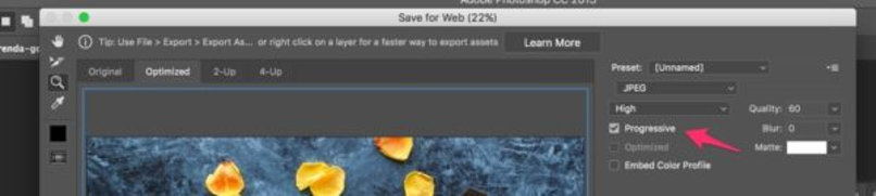 usar modo jpeg progresivo
