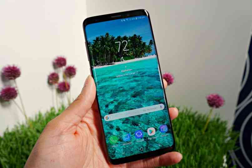 principal fondo flores 