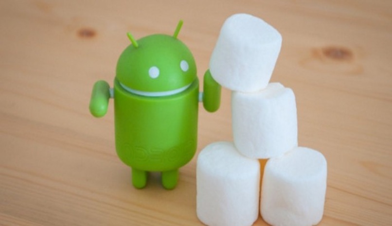 tomar foto filtro ojo pez