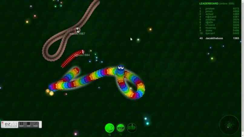 absorber serpientes grandes