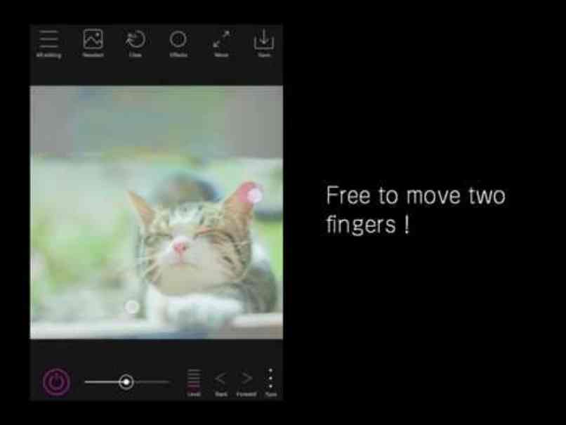 proceso cambios milagrosos