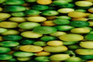 Los mejores apps para descargar fondos de pantalla HD y Ultra 4K para tu móvil gratis