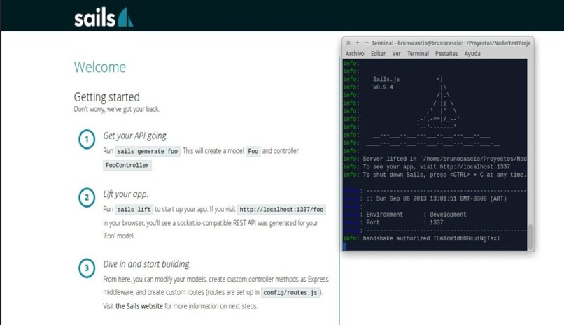 descargar sails programacion