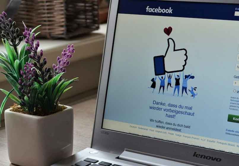 laptop Facebook planta